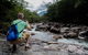 Private Daintree Mossman Gorge Exclusive Nature And Wildlife Focus - thumb 5