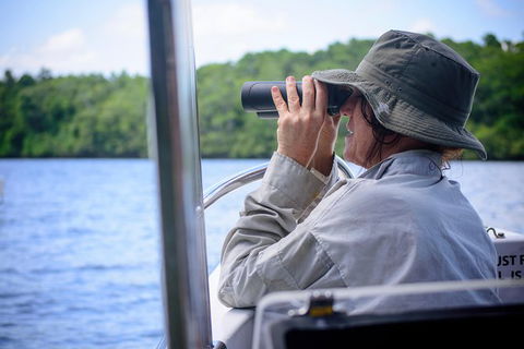 Private Daintree Mossman Gorge Exclusive Nature And Wildlife Focus - eAccommodation 4