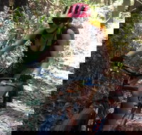 Noosa Hinterland Scenic FAT Bike Tour