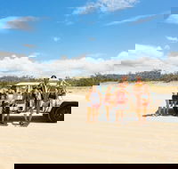 Dingos 2 Day Fraser Island 4x4 Tag Along