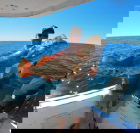 Full Day 9 Hour Offshore Fishing Charter