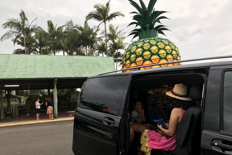 Private Transfer From Noosa To Brisbane Airport For 1 To 4 People - eAccommodation 4