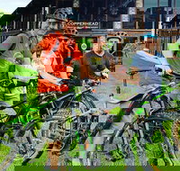 eMtn Bike  Brewery Day Tour