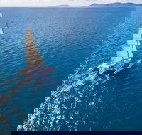 2-Night Whitsunday Islands Sailing Adventure on Trimaran 'Avatar' - eAccommodation