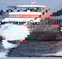 Half-Day Whale Watching in Urangan - eAccommodation