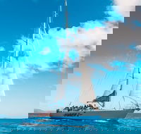 3 Day and 2 Night Whitsundays Maxi Sailing Adventure on Hammer - eAccommodation