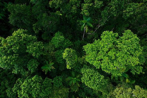 Cairns & Port Douglas All-Inclusive 7 Days Touring Package - eAccommodation 3