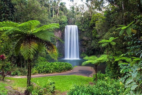 Cairns & Port Douglas All-Inclusive 7 Days Touring Package - eAccommodation 5