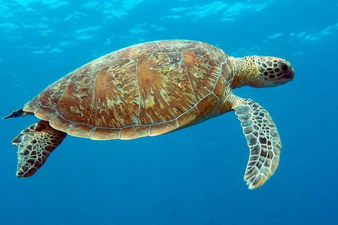 Cairns & Port Douglas All-Inclusive 7 Days Touring Package - eAccommodation 1