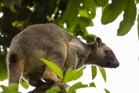 Cairns & Port Douglas All-Inclusive 7 Days Touring Package - eAccommodation 8