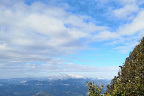 Private Half-Day Springbrook National Park Eco Tour - Up To 6 People - eAccommodation 2