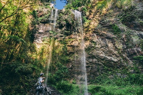 Private Half-Day Springbrook National Park Eco Tour - Up To 6 People - eAccommodation 3