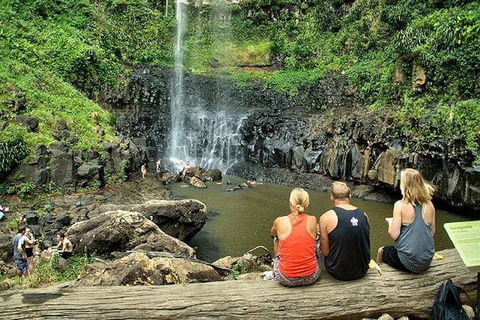 Private Half-Day Springbrook National Park Eco Tour - Up To 6 People - eAccommodation 0