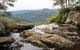 Private Half-Day Springbrook National Park Eco Tour - Up To 6 People - thumb 1