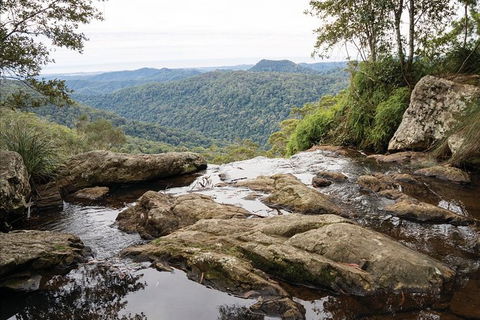 Private Half-Day Springbrook National Park Eco Tour - Up To 6 People - eAccommodation 1