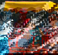 Unique 4 Wheeler Surrey Bike Rental