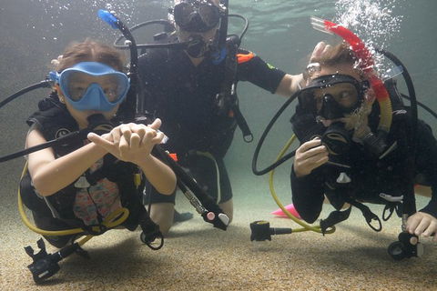 Scuba Kids- Padi Bubblemaker Course - eAccommodation 4
