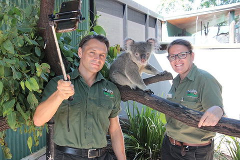 Virtual Interactive Australian Wildlife Tour With Private Guide-Wildlife Habitat - eAccommodation 4