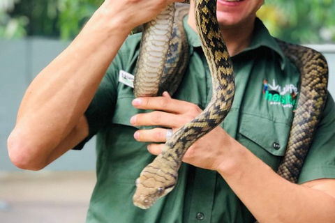 Virtual Interactive Australian Wildlife Tour With Private Guide-Wildlife Habitat - eAccommodation 3