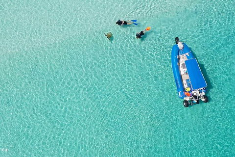 Remote Fraser Island & Whale Experience - eAccommodation 0