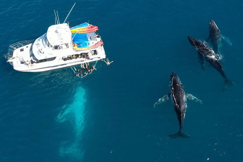 Remote Fraser Island & Whale Experience - eAccommodation 3