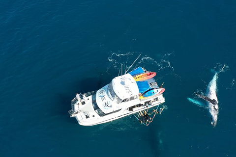 Remote Fraser Island & Whale Experience - eAccommodation 1