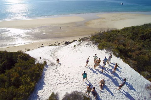 Remote Fraser Island & Whale Experience - eAccommodation 2