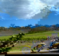 Unique Trike Barossa Valley Half Day Private Tour For 2 - eAccommodation