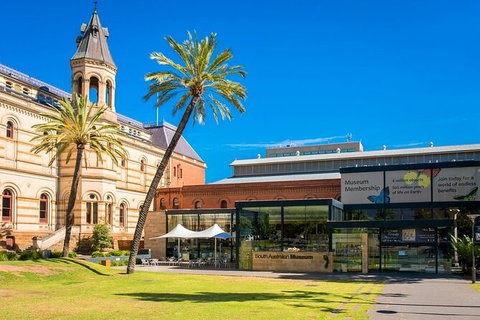 Arrival Private Transfers: Adelaide Airport ADL To Adelaide In Business Car - eAccommodation 6