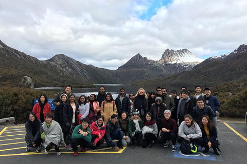 Shore Excursion - Cradle Mountain Day Tour From Burnie - eAccommodation 4