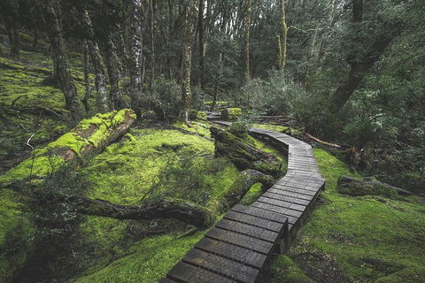 Shore Excursion - Cradle Mountain Day Tour From Burnie - eAccommodation 2