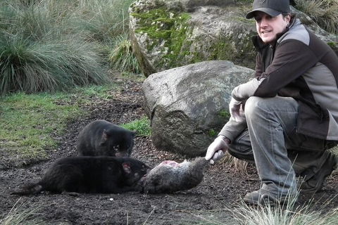 Sunset Experience - eAccommodation 2