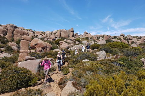 Alpine Loop - eAccommodation 2