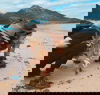 Freycinet Walking Tour - eAccommodation