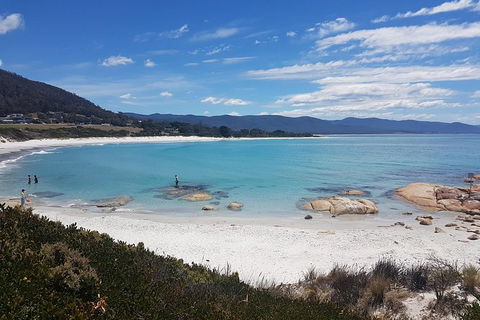 Wineglass Bay Day Tour - eAccommodation 3