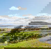 Launceston Wine  Sightseeing Tours - eAccommodation
