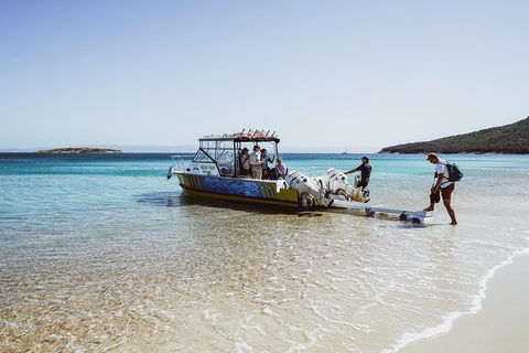 Sea & Explore Wineglass Bay & Freycinet National Park - Cruise & Walk - eAccommodation 3