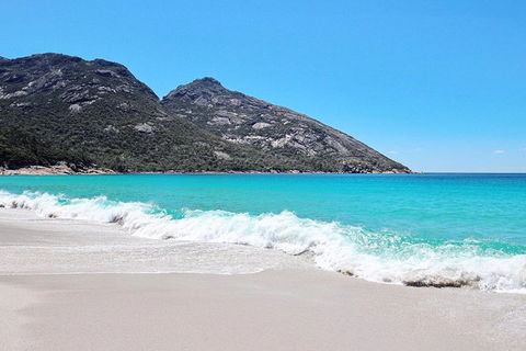 Sea & Explore Wineglass Bay & Freycinet National Park - Cruise & Walk - eAccommodation 4