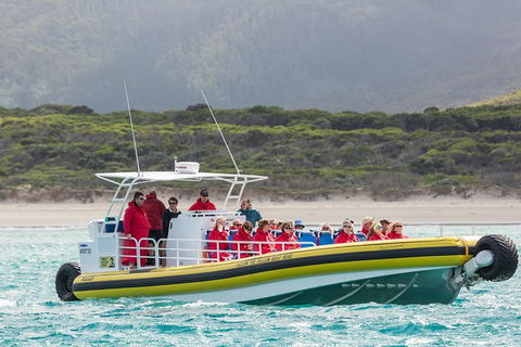 Wilsons Promontory Wilderness Cruise From Tidal River - eAccommodation 2