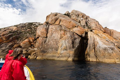 Wilsons Promontory Wilderness Cruise From Tidal River - eAccommodation 4