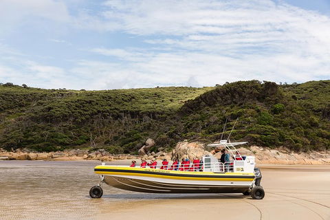 Wilsons Promontory Wilderness Cruise From Tidal River - eAccommodation 1