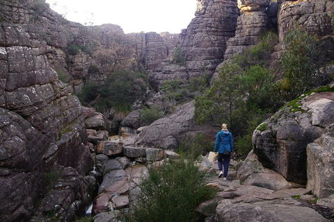 Private Grampians Day Tour From Melbourne (price/group Not Per Person) - eAccommodation 0