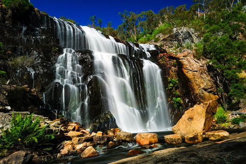 Private Grampians Day Tour From Melbourne (price/group Not Per Person) - eAccommodation 2