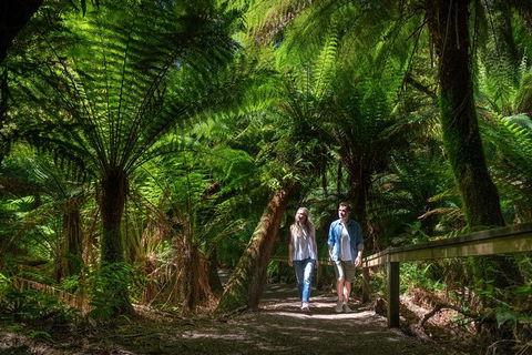 The Great Ocean Road Private 1 Day Tour - eAccommodation 2