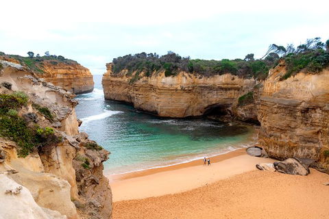 The Great Ocean Road Private 1 Day Tour - eAccommodation 6