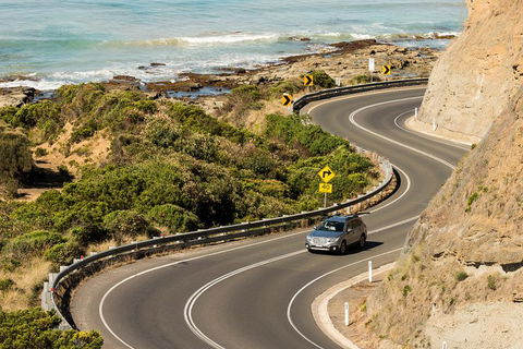 The Great Ocean Road Private 1 Day Tour - eAccommodation 5