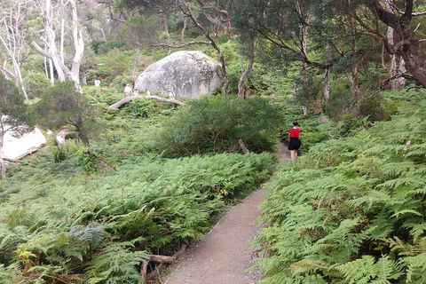 Wilsons Promontory Brainstorming Escape - eAccommodation 2