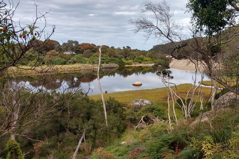 Wilsons Promontory Brainstorming Escape - eAccommodation 9