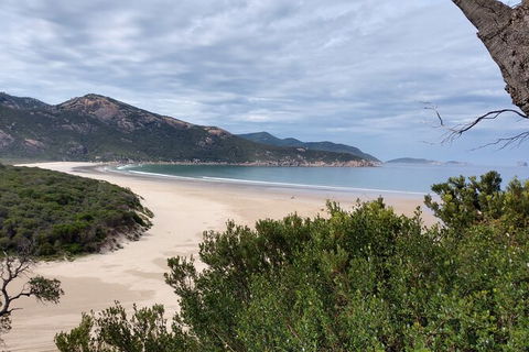 Wilsons Promontory Brainstorming Escape - eAccommodation 1
