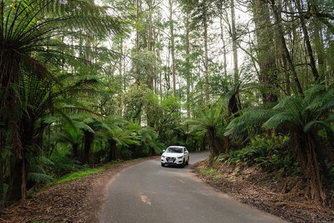 LGBT+ Friendly 3 Day Tour The Grampians, Daylesford & Ballarat - eAccommodation 1
